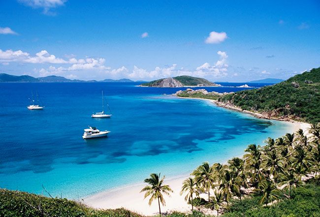 Palm-lined Caribbean beach with boats in the bay